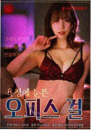 看美剧律政剧长夜律师封面